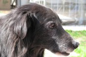 slike-2012-056_800x600
