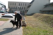 SLIKE-2012-010_800x600
