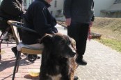 SLIKE-2012-023_450x600