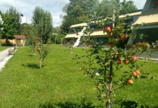IMG 20150908 124835440